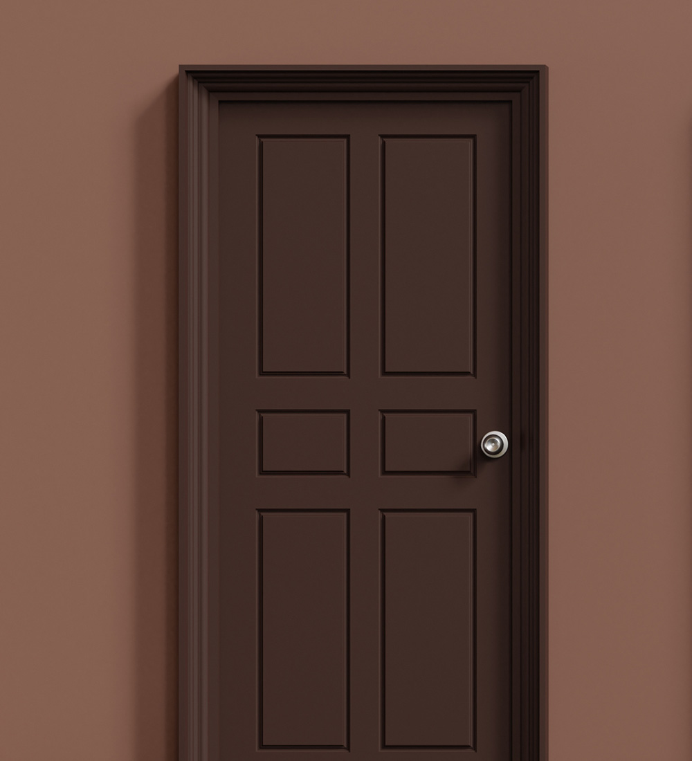 Entrance Doors